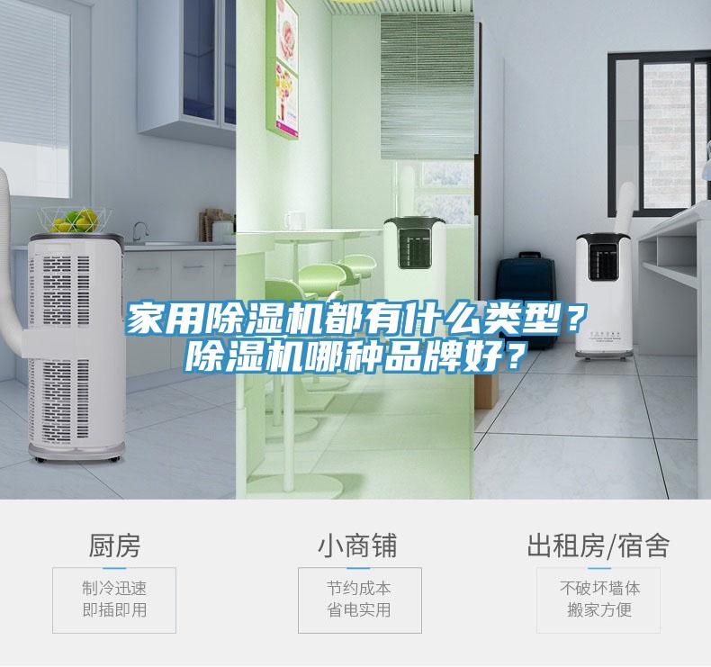 家用除濕機(jī)都有什么類型？除濕機(jī)哪種品牌好？