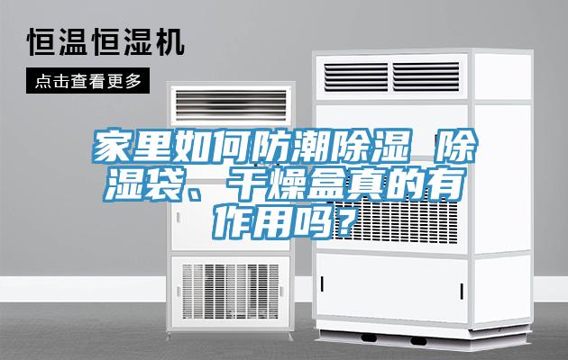 家里如何防潮除濕 除濕袋、干燥盒真的有作用嗎？