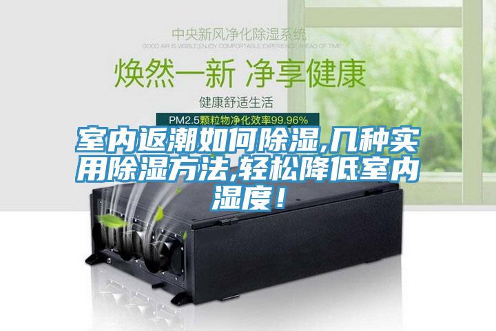 室內(nèi)返潮如何除濕,幾種實(shí)用除濕方法,輕松降低室內(nèi)濕度！