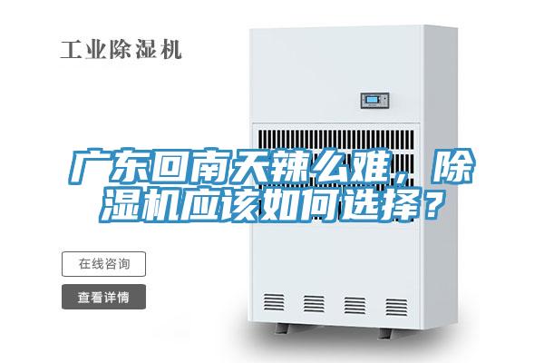 廣東回南天辣么難，除濕機應該如何選擇？