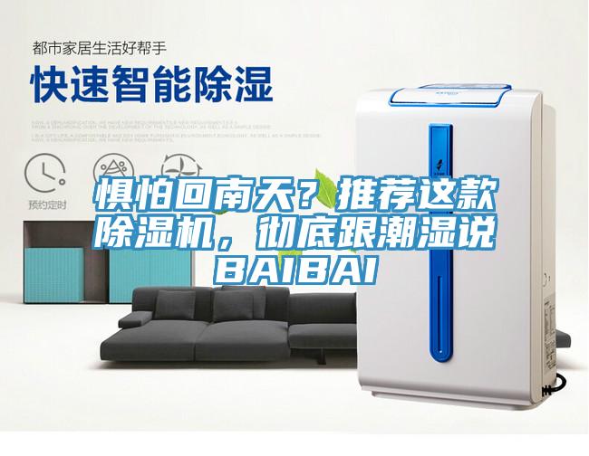 懼怕回南天？推薦這款除濕機，徹底跟潮濕說BAIBAI