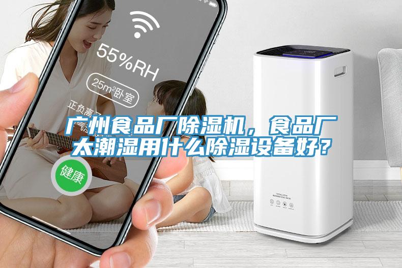 廣州食品廠除濕機(jī)，食品廠太潮濕用什么除濕設(shè)備好？