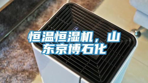 恒溫恒濕機(jī)，山東京博石化