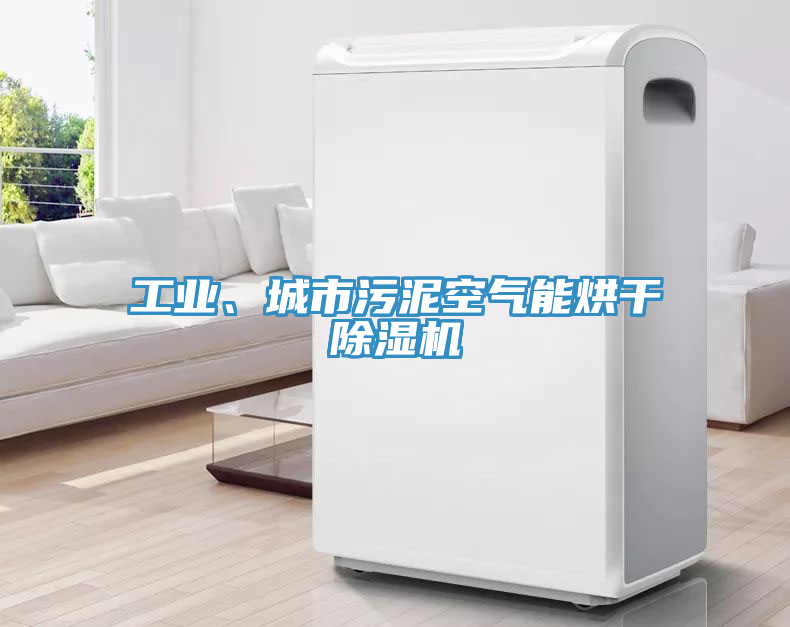 工業(yè)、城市污泥空氣能烘干除濕機