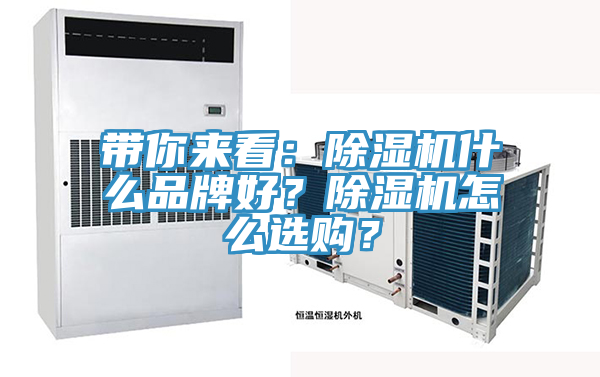 帶你來看：除濕機什么品牌好？除濕機怎么選購？