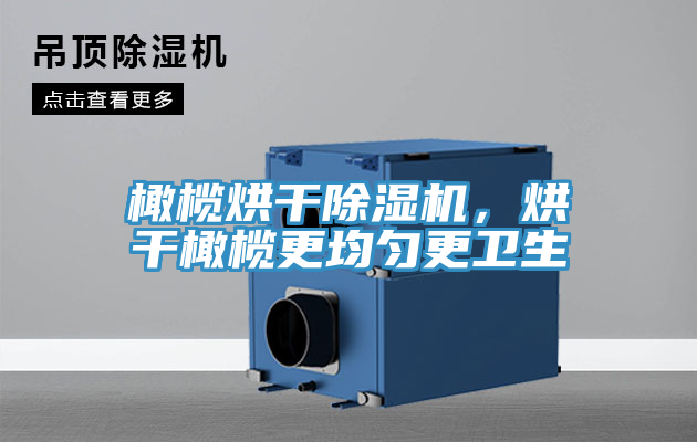 橄欖烘干除濕機(jī)，烘干橄欖更均勻更衛(wèi)生