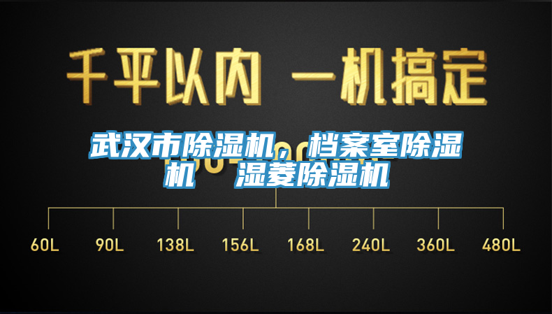 武漢市除濕機(jī)，檔案室除濕機(jī)  濕菱除濕機(jī)