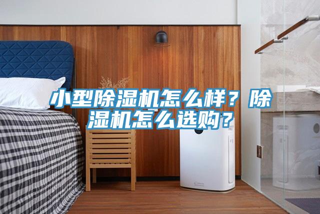 小型除濕機(jī)怎么樣？除濕機(jī)怎么選購？