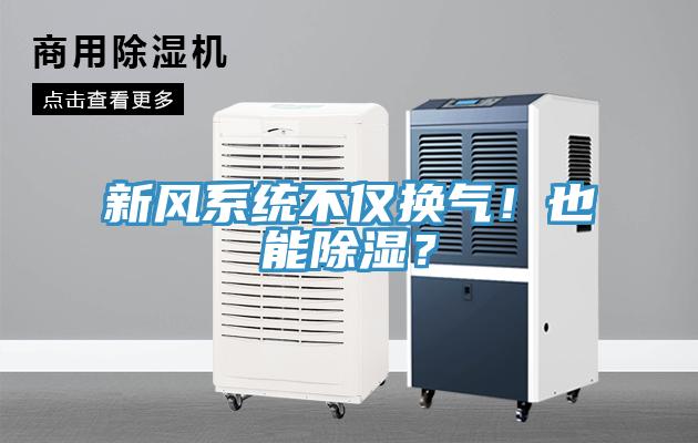 新風(fēng)系統(tǒng)不僅換氣！也能除濕？