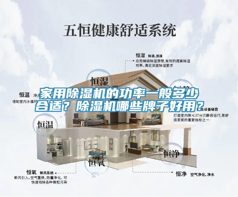家用除濕機(jī)的功率一般多少合適？除濕機(jī)哪些牌子好用？