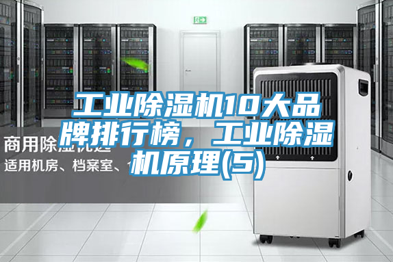 工業(yè)除濕機(jī)10大品牌排行榜，工業(yè)除濕機(jī)原理(5)