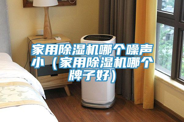 家用除濕機(jī)哪個(gè)噪聲?。矣贸凉駲C(jī)哪個(gè)牌子好）