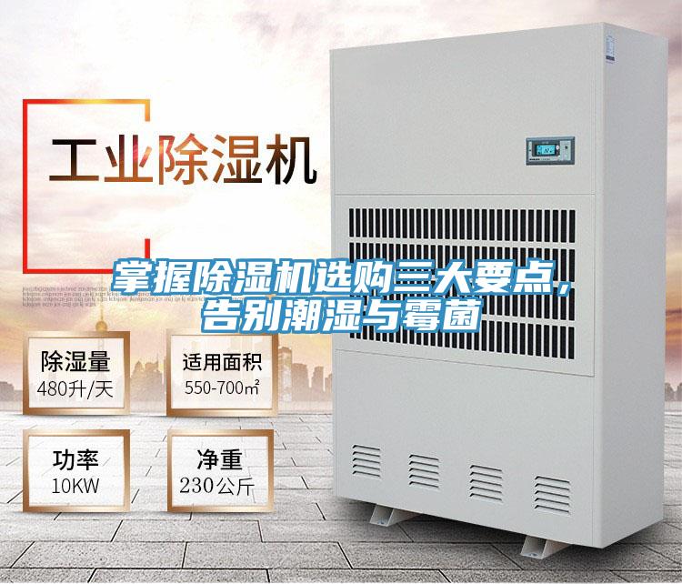 掌握除濕機選購三大要點，告別潮濕與霉菌