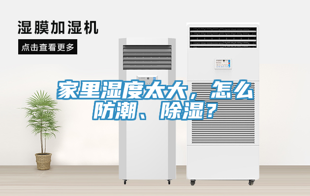 家里濕度太大，怎么防潮、除濕？
