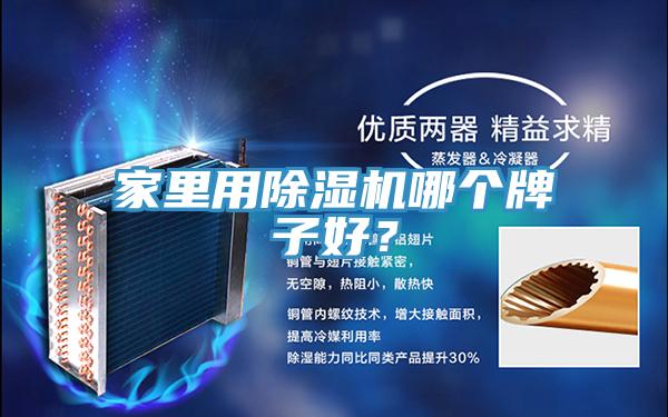 家里用除濕機哪個牌子好？