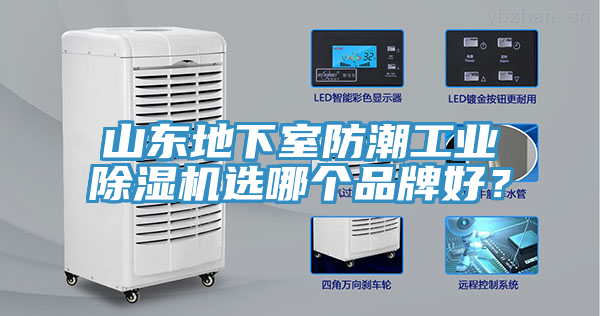 山東地下室防潮工業(yè)除濕機選哪個品牌好？