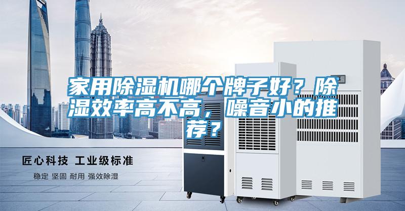 家用除濕機哪個牌子好？除濕效率高不高，噪音小的推薦？