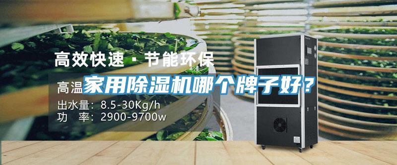 家用除濕機(jī)哪個(gè)牌子好？