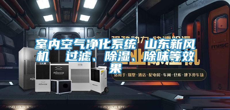 室內(nèi)空氣凈化系統(tǒng) 山東新風(fēng)機(jī)  過濾、除濕、除味等效果