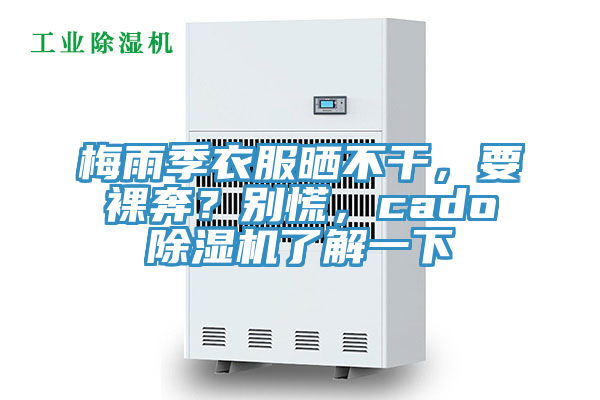 梅雨季衣服曬不干，要裸奔？別慌，cado除濕機(jī)了解一下