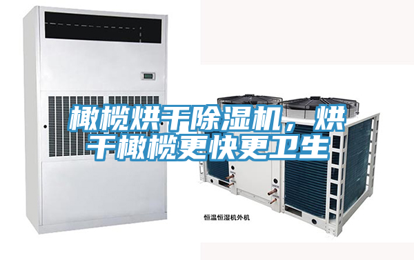 橄欖烘干除濕機(jī)，烘干橄欖更快更衛(wèi)生