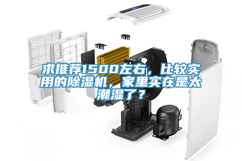 求推薦1500左右，比較實用的除濕機，家里實在是太潮濕了？