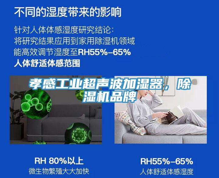 孝感工業(yè)超聲波加濕器，除濕機(jī)品牌
