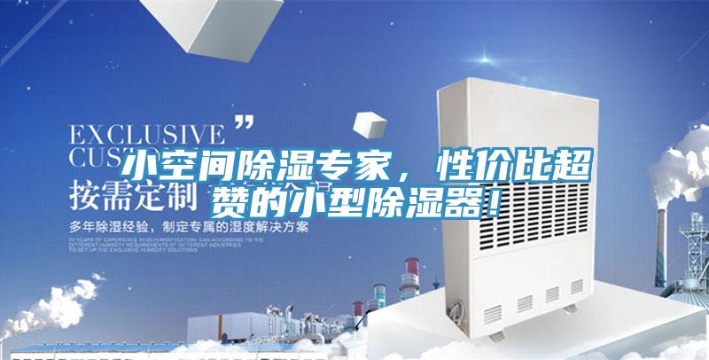 小空間除濕專家，性價比超贊的小型除濕器！
