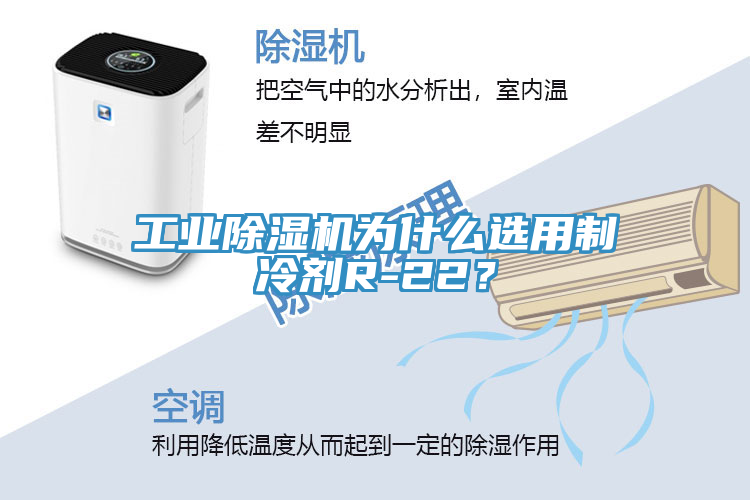 工業(yè)除濕機(jī)為什么選用制冷劑R-22？