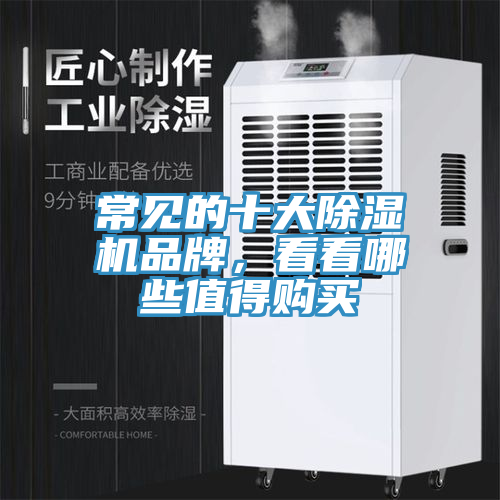 常見的十大除濕機(jī)品牌，看看哪些值得購(gòu)買