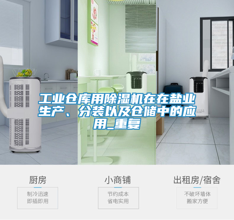 工業(yè)倉庫用除濕機在在鹽業(yè)生產(chǎn)、分裝以及倉儲中的應(yīng)用_重復(fù)