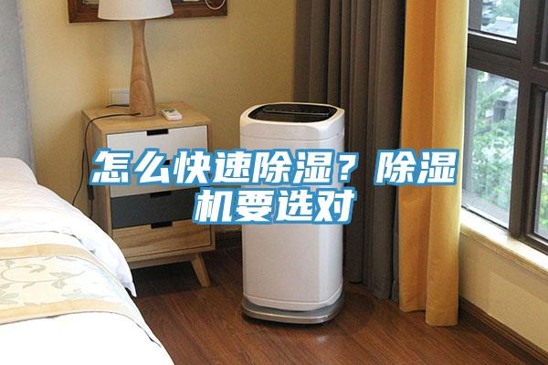 怎么快速除濕？除濕機(jī)要選對(duì)