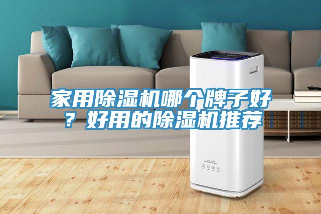 家用除濕機哪個牌子好？好用的除濕機推薦