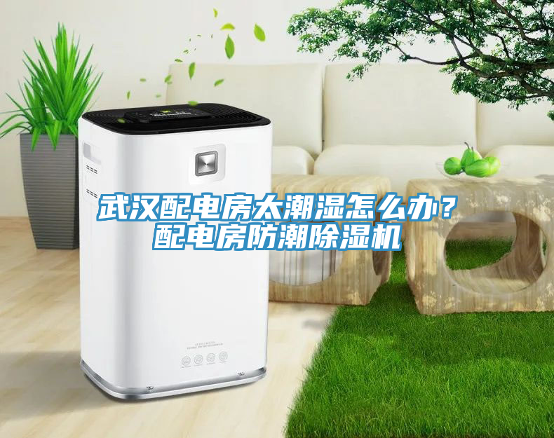 武漢配電房太潮濕怎么辦？配電房防潮除濕機