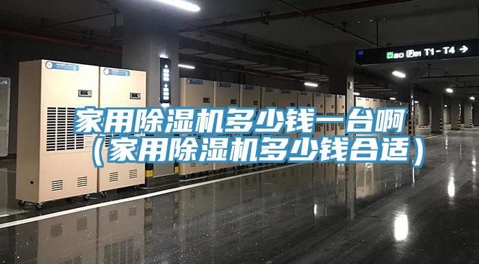 家用除濕機(jī)多少錢一臺(tái)?。矣贸凉駲C(jī)多少錢合適）