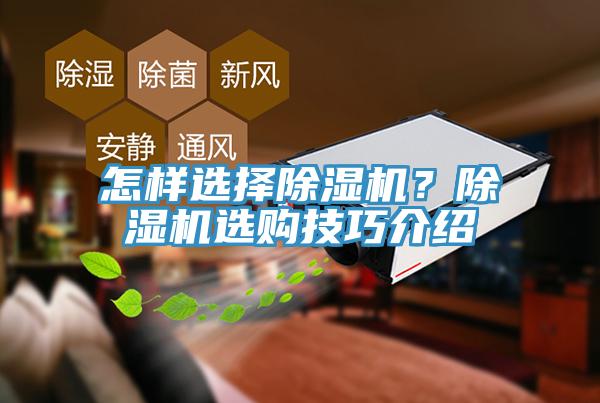 怎樣選擇除濕機(jī)？除濕機(jī)選購(gòu)技巧介紹