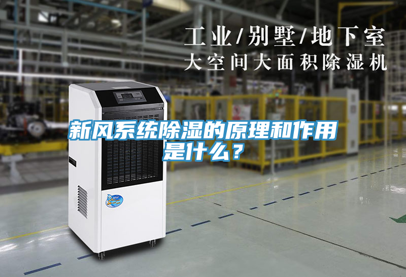 新風(fēng)系統(tǒng)除濕的原理和作用是什么？