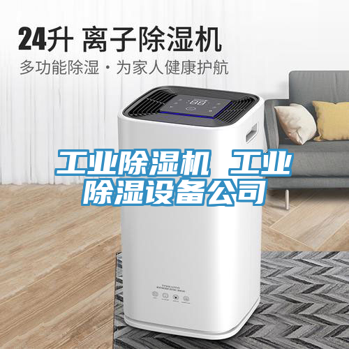 工業(yè)除濕機 工業(yè)除濕設備公司