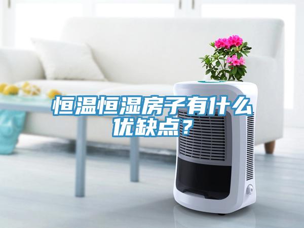 恒溫恒濕房子有什么優(yōu)缺點？
