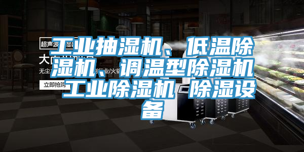 工業(yè)抽濕機、低溫除濕機、調溫型除濕機 工業(yè)除濕機 除濕設備