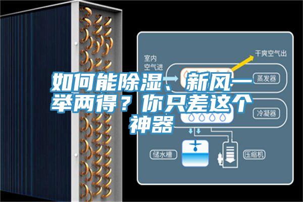 如何能除濕、新風(fēng)一舉兩得？你只差這個(gè)神器