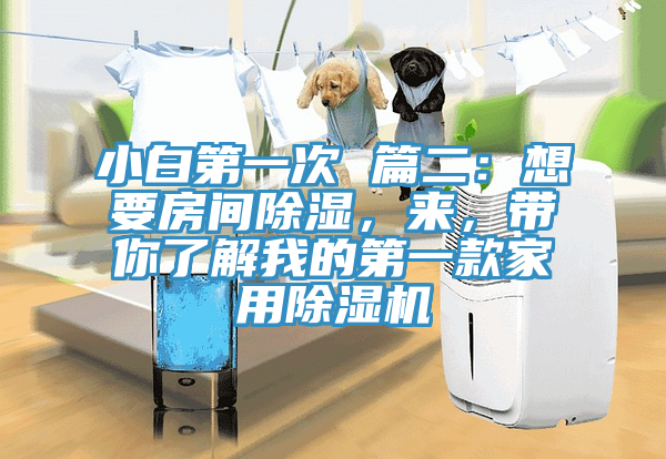 小白第一次 篇二：想要房間除濕，來，帶你了解我的第一款家用除濕機