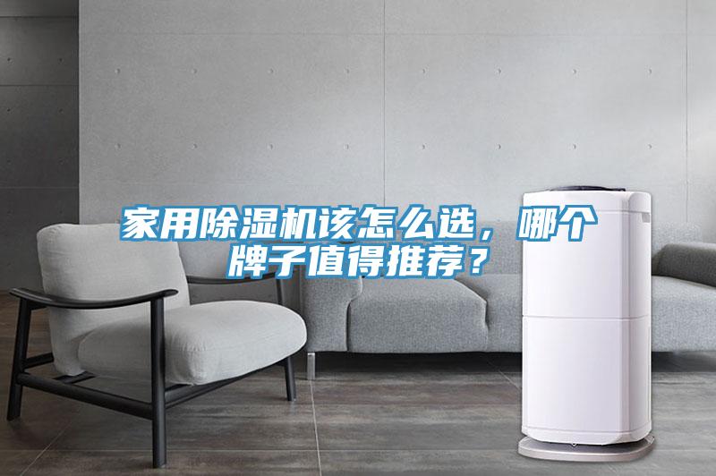 家用除濕機該怎么選，哪個牌子值得推薦？
