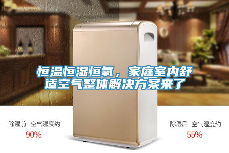 恒溫恒濕恒氧，家庭室內(nèi)舒適空氣整體解決方案來了