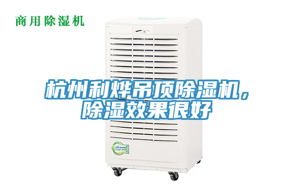 杭州利燁吊頂除濕機，除濕效果很好