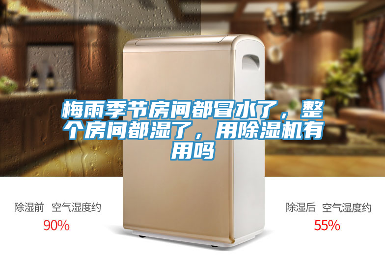 梅雨季節(jié)房間都冒水了，整個(gè)房間都濕了，用除濕機(jī)有用嗎