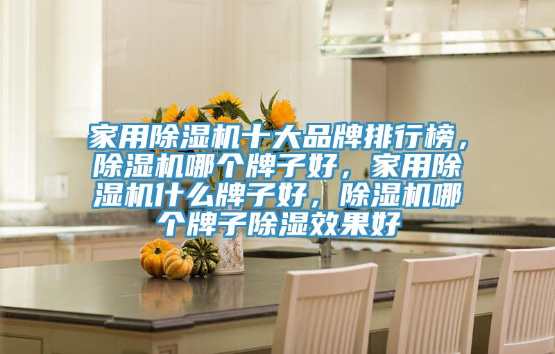 家用除濕機十大品牌排行榜，除濕機哪個牌子好，家用除濕機什么牌子好，除濕機哪個牌子除濕效果好