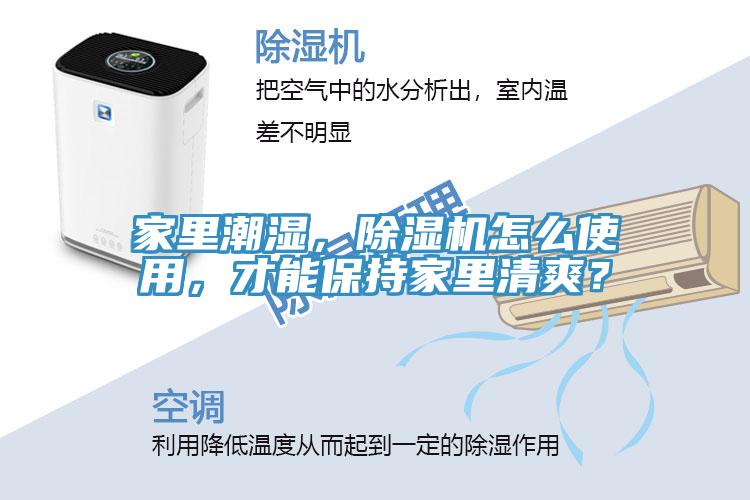 家里潮濕，除濕機怎么使用，才能保持家里清爽？