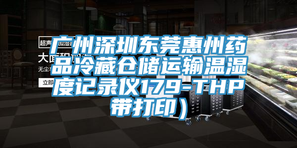 廣州深圳東莞惠州藥品冷藏倉儲運(yùn)輸溫濕度記錄儀179-THP帶打?。?></div>
								<div   id=
