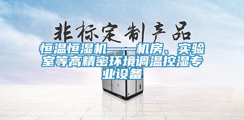 恒溫恒濕機——機房、實驗室等高精密環(huán)境調(diào)溫控濕專業(yè)設(shè)備